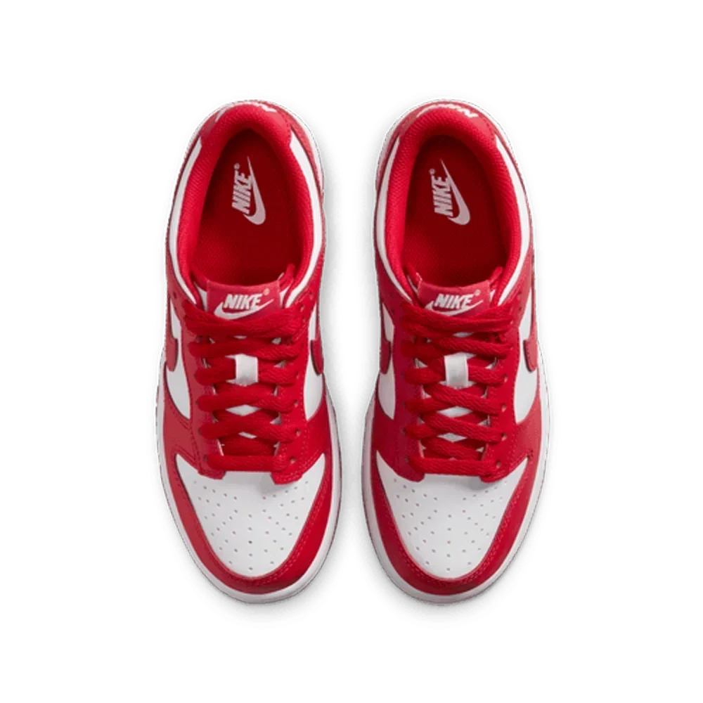 Nike Big Kids Dunk Low Shoes