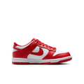 Nike Big Kids Dunk Low Shoes
